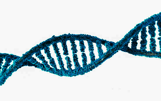 Zinkorot, zinok a Kyselina Orotová, cena, účinky