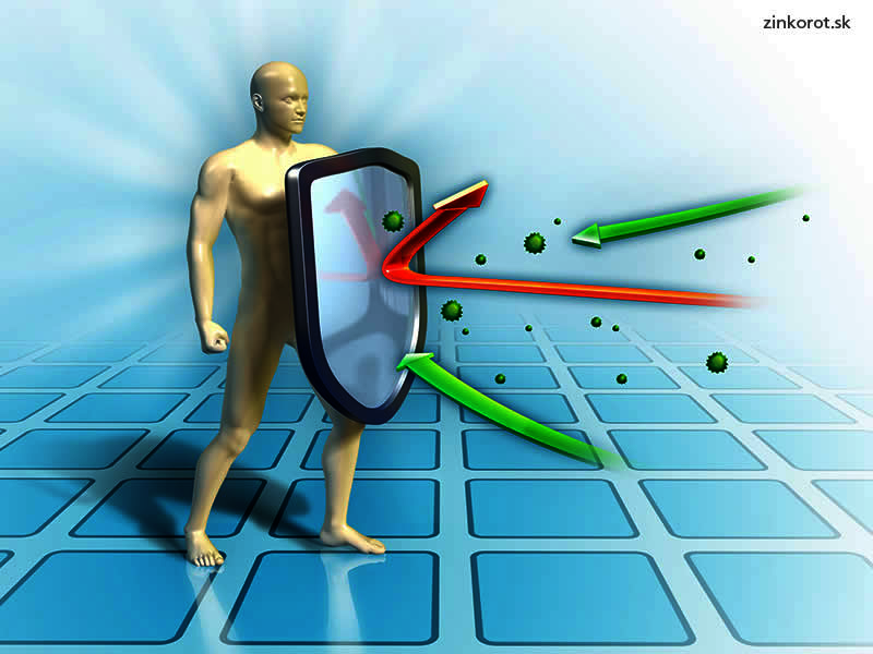 Zinok na imunitu - liek, zinkorot, posilnenie imunitného systému, tabletky, pre dospelých pre deti